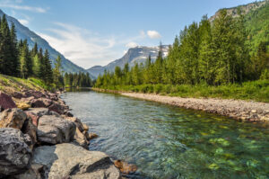 Montana