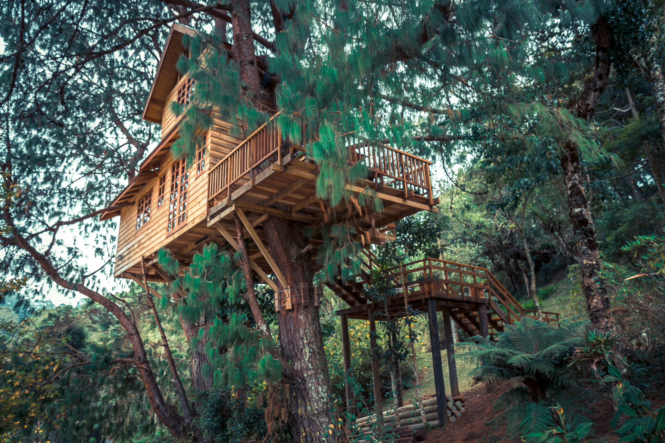 treehouse