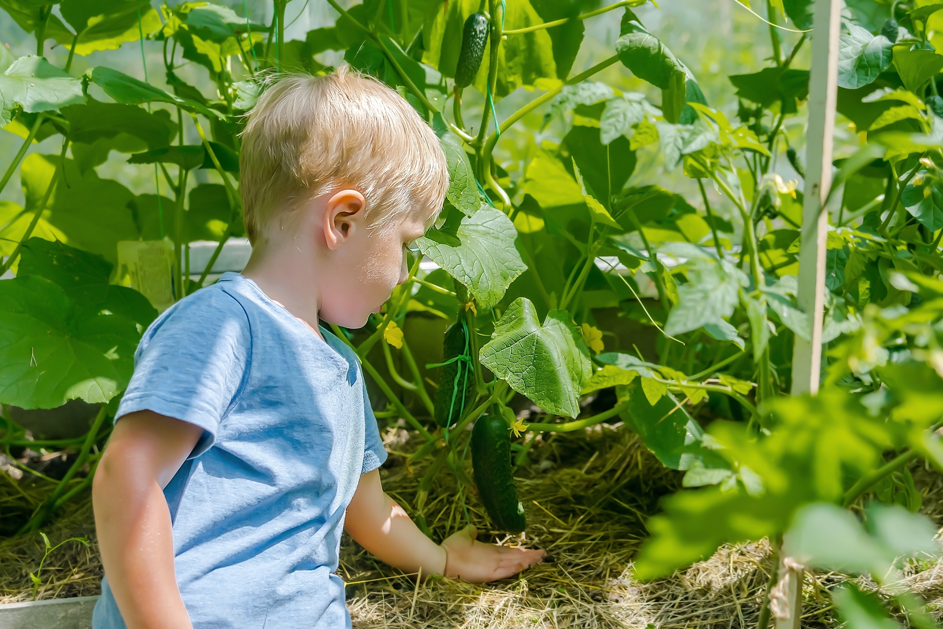 Toddler playing outside