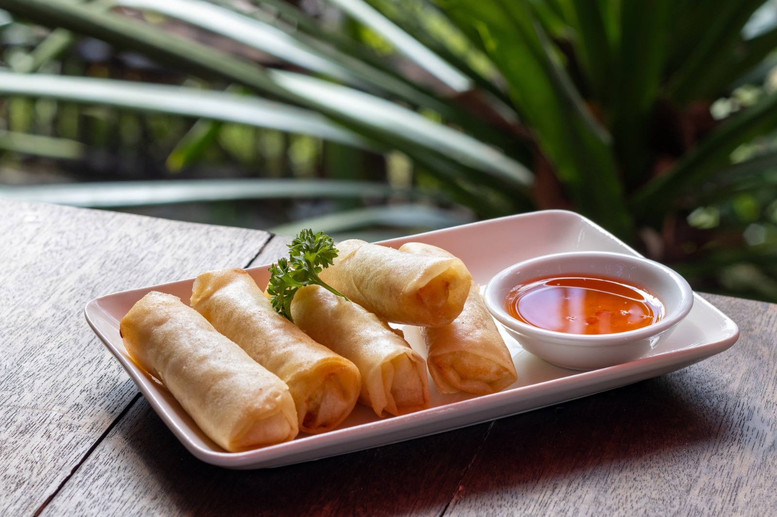 Spring Rolls